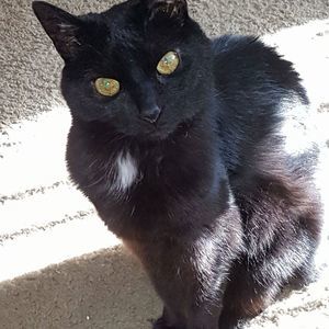 Meet your Posher, Renee